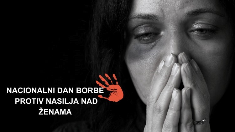 Slika /slike/Infografike/nasilje nad zenama.JPG